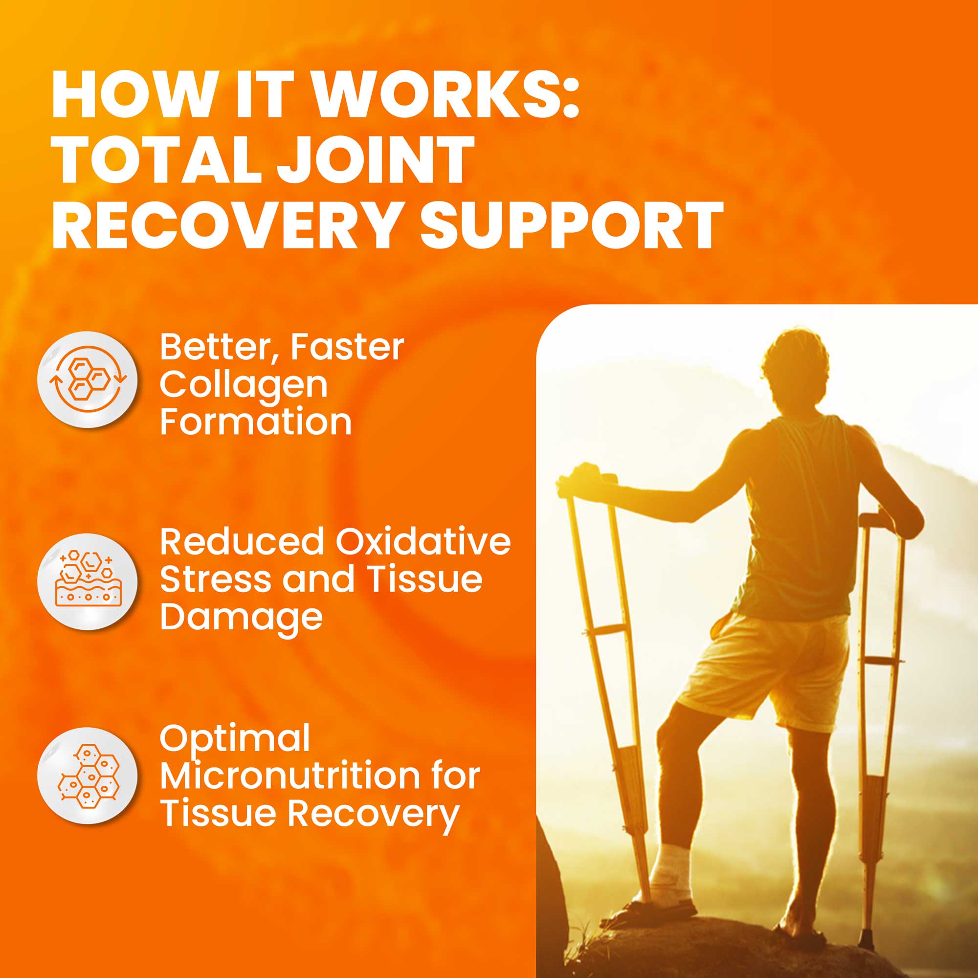 JOINT CLINIC - Joint Recovery Multivitamin SaltWrap