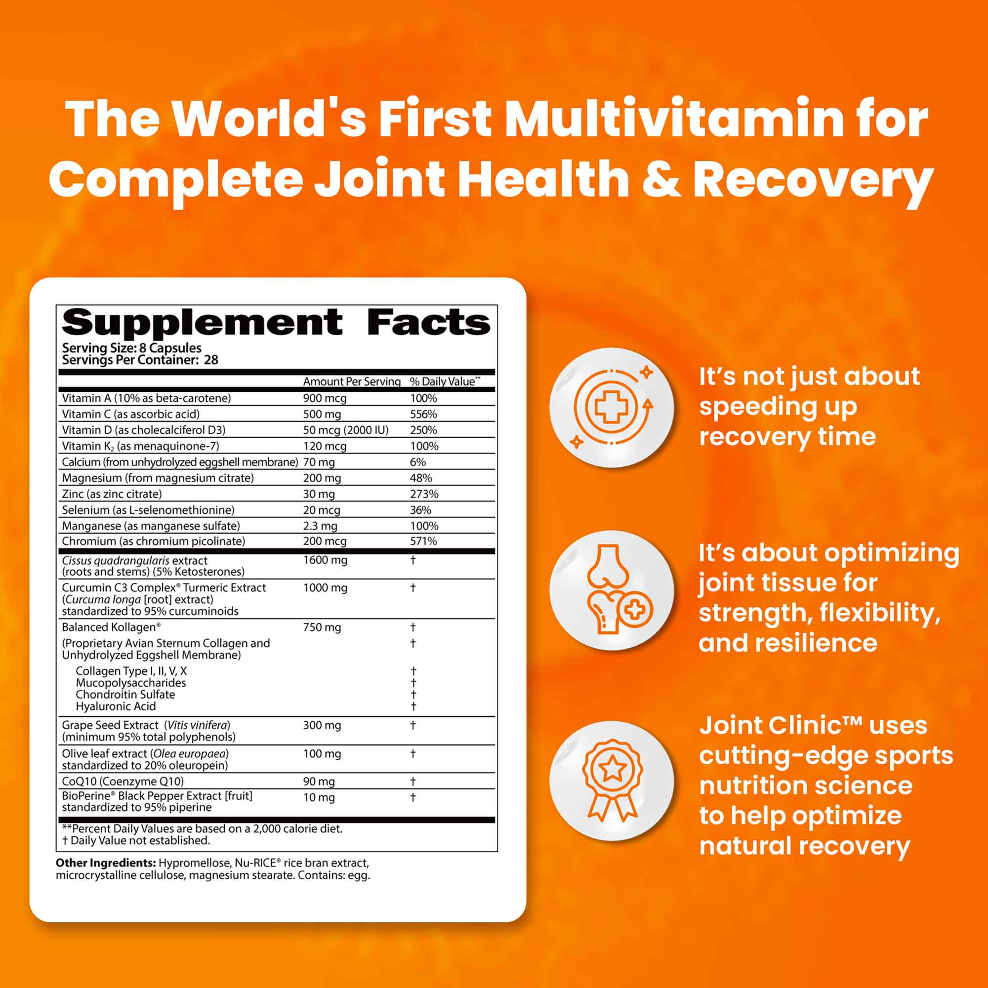 JOINT CLINIC - Joint Recovery Multivitamin SaltWrap
