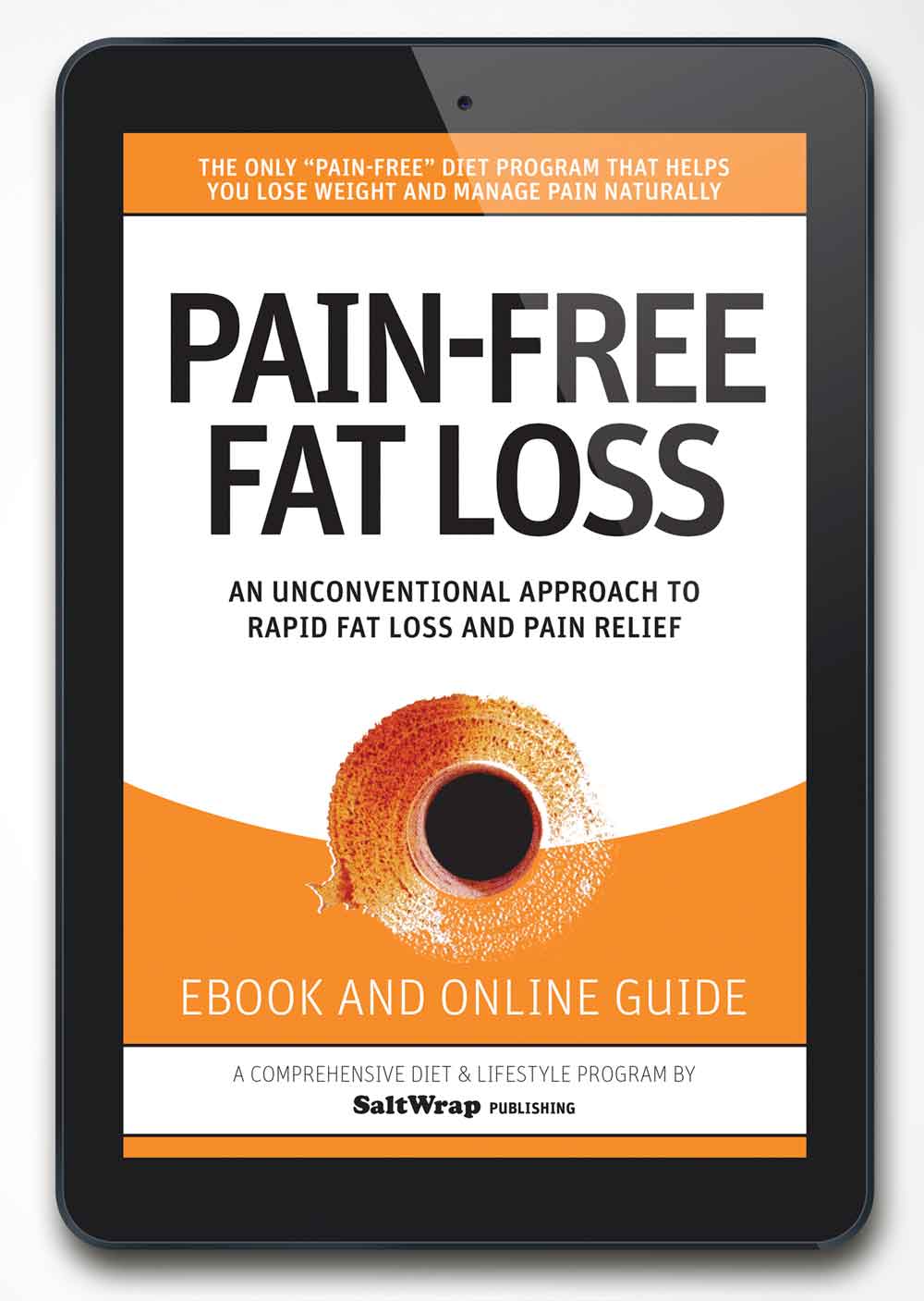 Pain Free Fat Loss: 148 page eBook, Online Access, Bonus Downloads & Follow Up Accountability Series (90 Day Money-Back Guarantee)