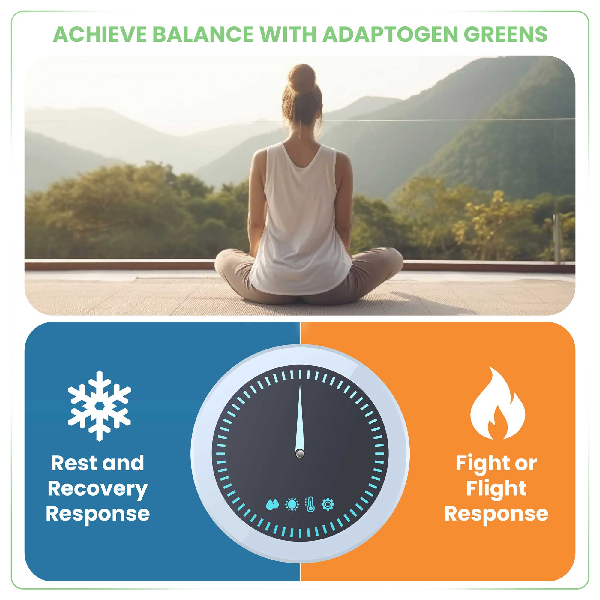 ADAPTOGEN GREENS - Mind-Body Resilience Formula SaltWrap