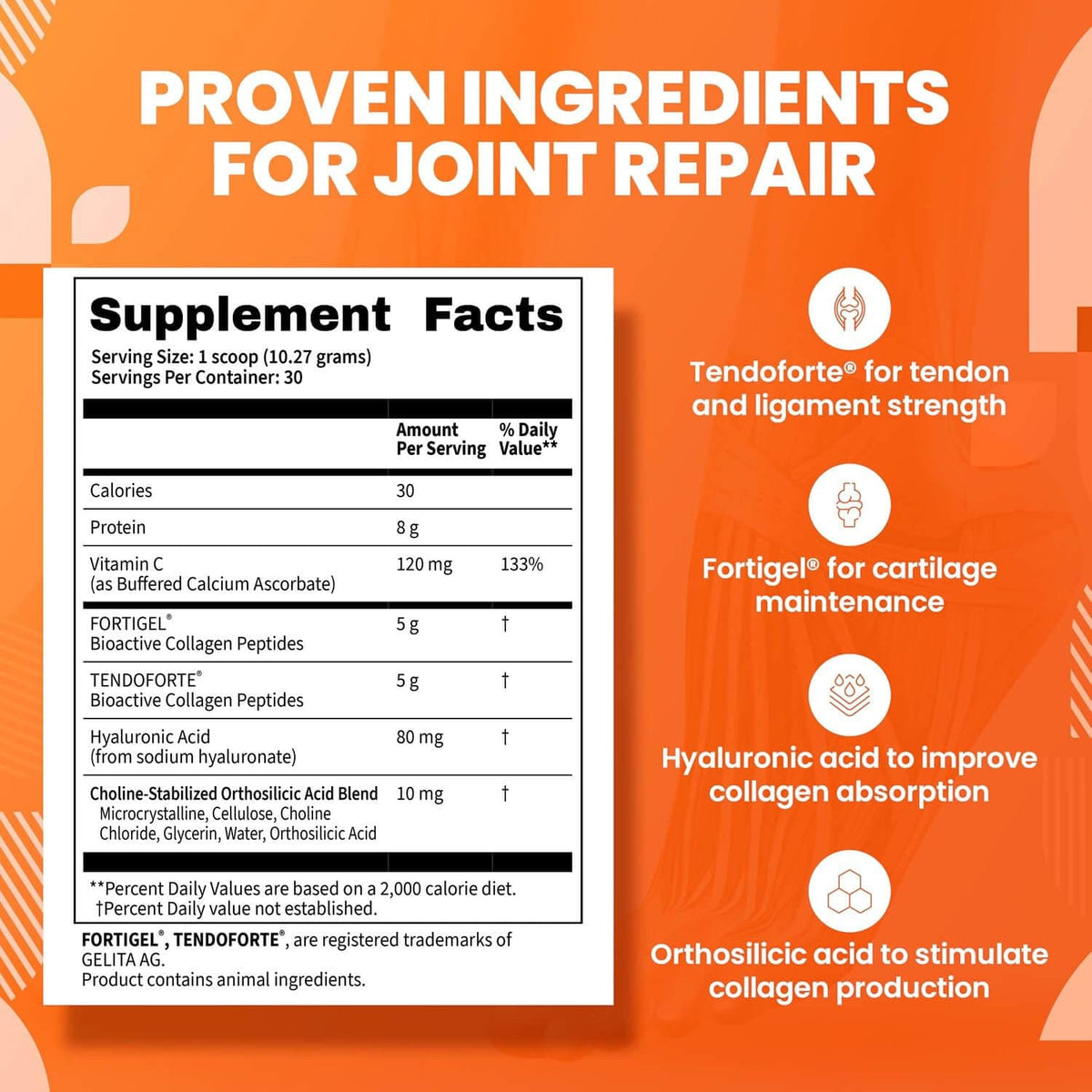 COLLAGEN SYNTHESIS - Collagen Peptides for Tendon, Ligament, & Cartilage Support SaltWrap