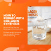 COLLAGEN SYNTHESIS - Collagen Peptides for Tendon, Ligament, & Cartilage Support SaltWrap